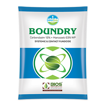 Boundry