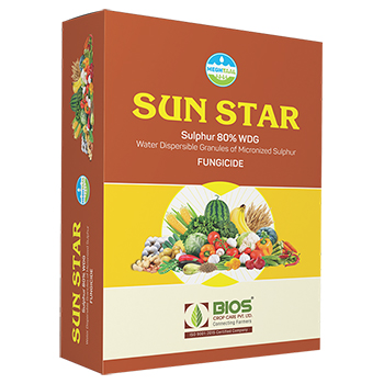 Sun Star - 80