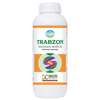 Trabzon