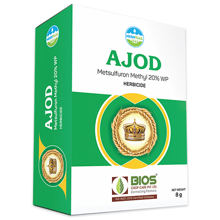 Ajod