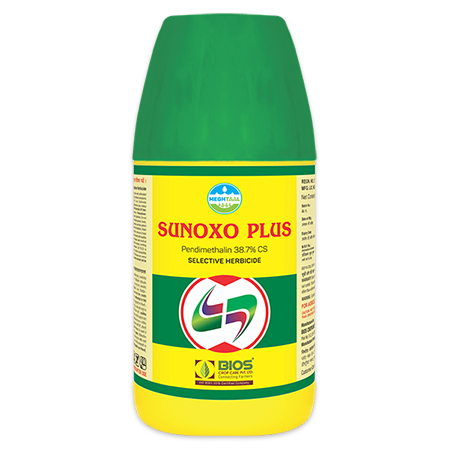 Sunoxo Plus
