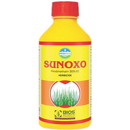 Sunoxo