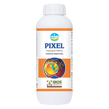 Pixel