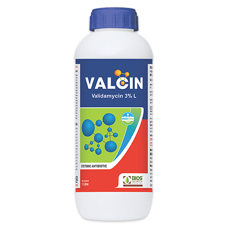Valcin